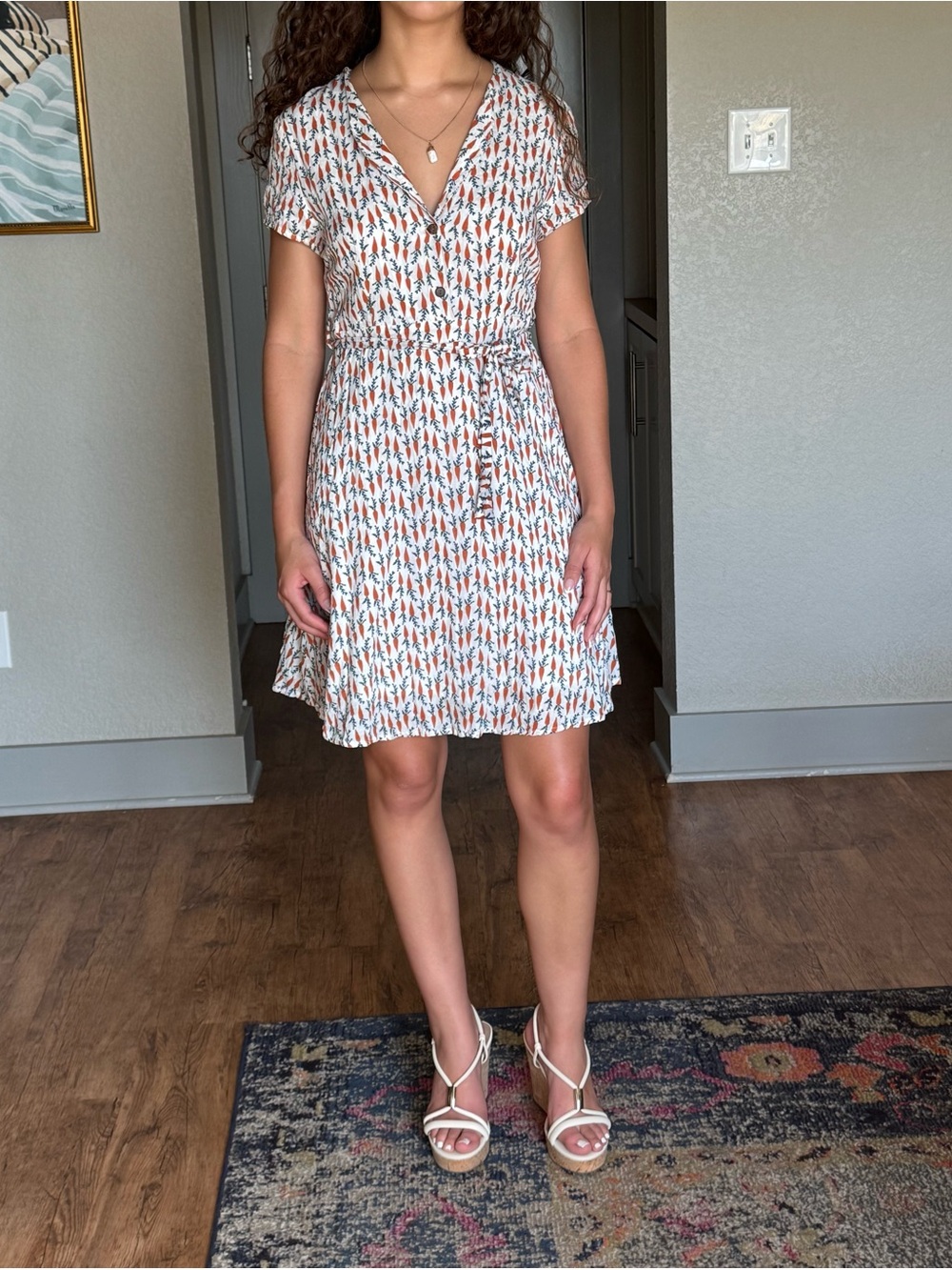 SM Wardrobe Carrot Print Fit & Flare Belted Dress Novelty Cottagecore